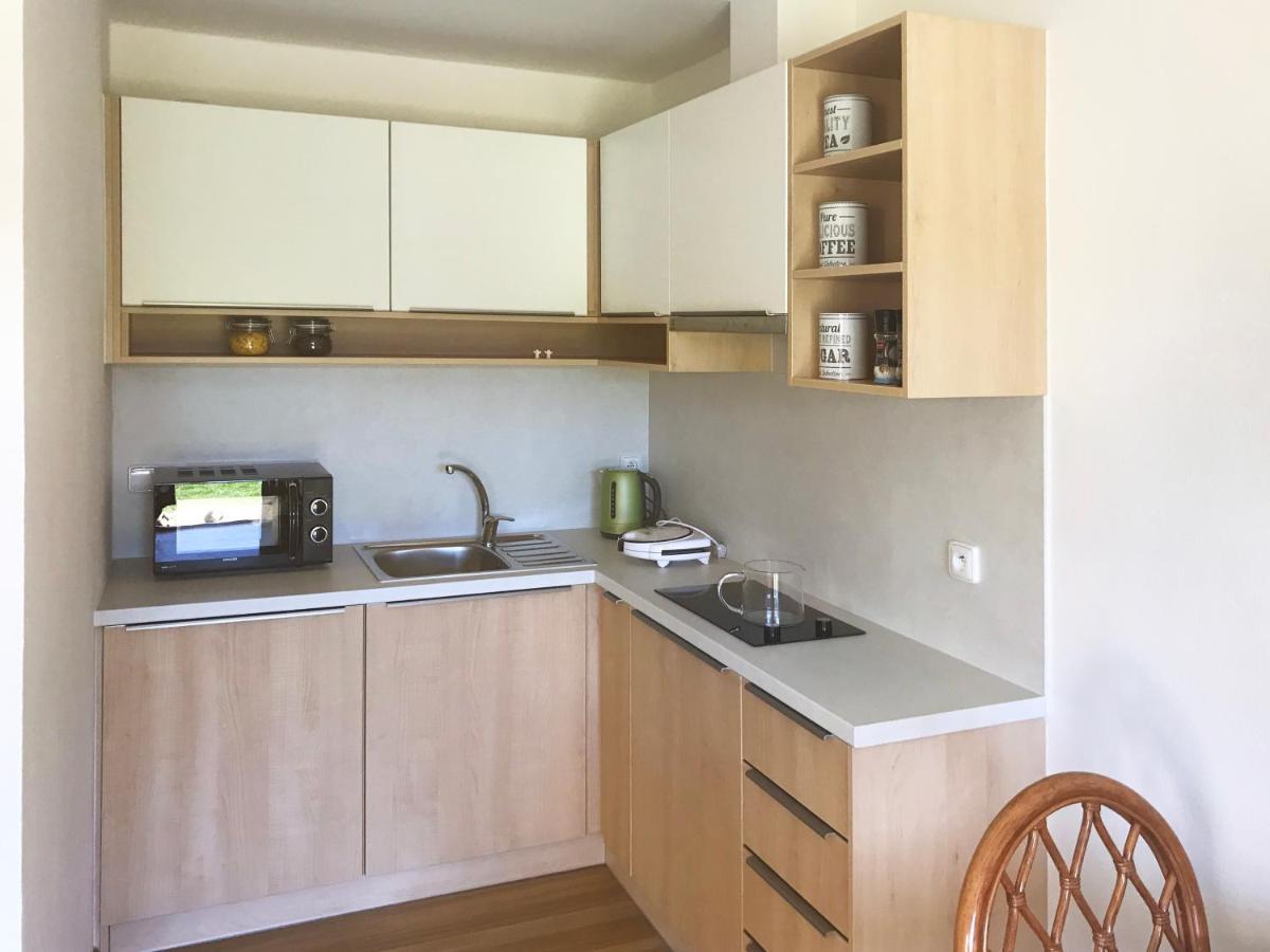 Hluboká nad VltavouApartman Hosinアパートメント エクステリア 写真